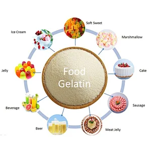Halal Bovine Skin/ Bone Gelatin for Empty Capsules 150 Bloom